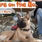 Manners on the Go – 5-week course starts Sunday event image