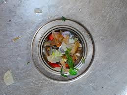 never put down your kitchen drain