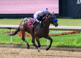 Lara rose onlyfans sex 39M 65% Lara Rose 0:27 HD 9.