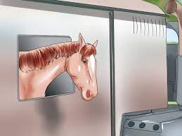 How To Buy A Horse (With Pictures) - Wikihow