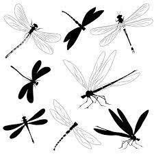 The dragonfly goes through certain transformations throughout its life even if it represents a change, it can also be a symbol of death, when the soul leaves the body. Dragonfly Tattoo Meanings Tattoos With Meaning