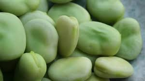 Maybe you would like to learn more about one of these? Fave Proprieta E Valori Nutrizionali Idee Green