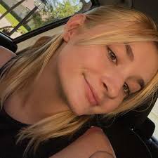 Converting a small bus or van to a camper/RV in Illinois