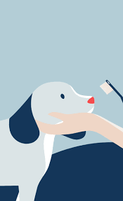 Bad breath is bad news. Dog Cat Teeth Cleaning In Nyc Veterinary Dentist Bond Vet