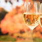 Camp Lavigne Wine Festival 2026
