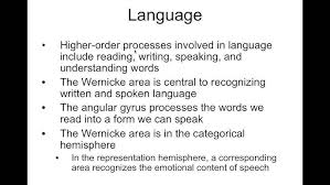 Image result for Higher Integrative Function