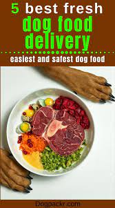 Best Dog Food Delivery Service For Fresh Cooked Food Dogpackr In 2020 Dog Food Delivery Food Dog Food Recipes