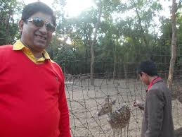 About 9% of these are playground, 0% are animatronic model, and 0% are amusement park rides. Banpukuria Deer Park Picture Of Banpukuria Deer Park Mukutmanipur Tripadvisor
