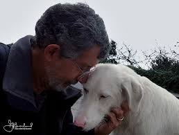 We took Bella and Sofia visiting the breeder every Christmas. Their mothers  are retired and live in lovely homes now. Their sisters are still there.