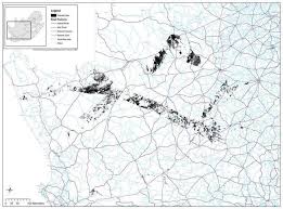 Image result for Pharnaceum brevicaule