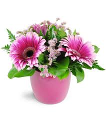 Best value flowers & gifts. Florist S Choice Daily Deal Abilene Tx Florist