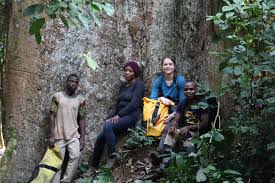 Image result for Gilbertiodendron dewevrei