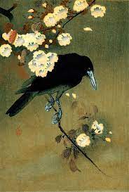ohara koson crow and blossom top quality image edition 小原古邨 鴉と花 1910 最高画質版 japanese art crow art bird prints