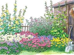 Zitronenmelisse Heilpflanze Mit Aroma Bauerngarten Blumenbeet Garten Bepflanzen