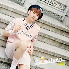 Seventeen boo seung kwan photo star coated poster painting home room decor wallpapers . Seungkwan Pledis 17 Wiki Fandom