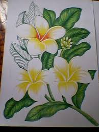 Cara mewarnai gradasi tanaman, mewarnai dengan crayon, menggambar tanaman. Mewarnai Daun Gradasi Pewarna O