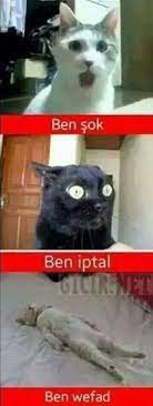 , komik,., abone olmayı ve like atmayı nolur eksik görmeyin., zi̇ya, selçuk , komi̇k, montaj. Milli Egitim Bakani Ziya Selcuk 4 Ocak Okullari Ve Sinavlari Yapmak Icin Umut Vaad Eden Bir Tarih Sayfa 3 Technopat Sosyal