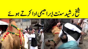 Shorten url customize/big preview image (thumbnails) of share link, large preview of youtube on facebook twitter, linkedin. Very Very Dangerous Camel Qurbani Eid Ul Azha 2016 By Muhammad Usman