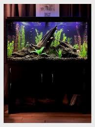 Whether you're a beginner or a seasoned hobbyist, find quality aquatic life for marine aquarium when you shop. It Isn T Necessarily The Result Of Pollution But It Is Still Good To Remove It From The Beaches To Help Out Marine Life Find It On The Beach Or On The Side