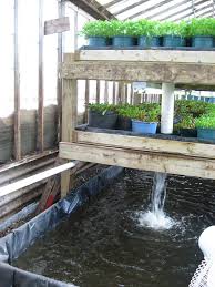 It can help you garden indoors and enjoy faster crops and better use of resources compared to. Aquaponics Systems The Simplest Way To Build At Home