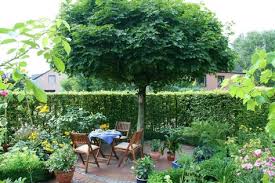 Garten Anlegen Gestaltungstipps Fur Einsteiger Garten Garten Ideen Und Garten Anlegen