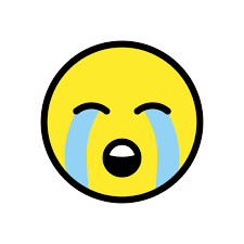 I had a flash, a moment when i realized i was her best friend, and i didn't know her at all don aquiles sat in his office, blue light streaming in from a window with cheap, bent blinds. Openmoji Library