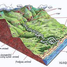 Freshwater swamps and saltwater swamps. Overview Of Different Wetland Types And Their Typical Location In The Download Scientific Diagram