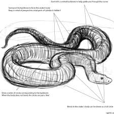 Black And White Snake Northern California How To Draw A Snake In 4 Steps With Photoshop Snake Drawing Snake Sketch Drawings