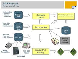 payroll process sap hr payroll process steps