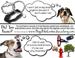 Training Collars The Problems With Prong Collars Choke Chains And Shock Collars Dog Training Collar Positive Dog Training Training Collar