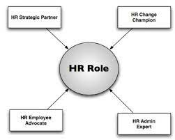 Role Of Hr Manager, Line And Staff Functions, Assignment Help