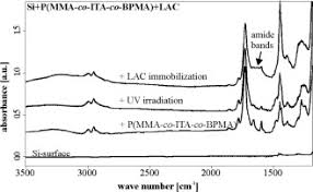 We leverage cloud and hybrid datacenters, giving you the speed and security of nearby vpn services, and the ability to leverage services provided in a remote location. Multifunctional Crosslinkable Itaconic Acid Copolymers For Enzyme Immobilization Sciencedirect