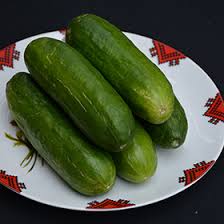 Image result for Cucumis sativus