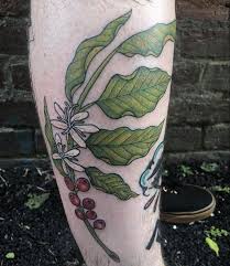 Coffee plant makes an attractive house plant. Coffee Plant By Dave English Of Hold It Down In Richmond Va Tattoos