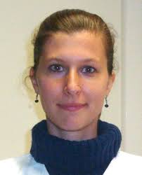 From Chemical Gardens to Chemobrionics