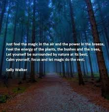 Feel The Magic In The Air Lucid Practice Mother Nature Quotes Nature Quotes Nature Quotes Inspirational