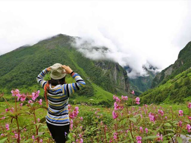 Weather and the Valley's Biodiversity
