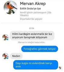 Irem Kumtemir Adli Kullanicinin Ing Panosundaki Pin 2020 Mizah Komik Fotograf
