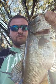 Had a great morning in st Pete got my limit and went home! They definitely  were picky today. Hope yall are having a great weekend so far!