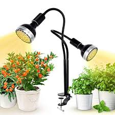 Check spelling or type a new query. 300w Led Grow Light Kolem Plant Light For Indoor Plants Dimmable 2 Grow Light Bulbs Sunlight Full Spectrum Plant Light For Seedings Hydroponic Succulents Flower Pricepulse