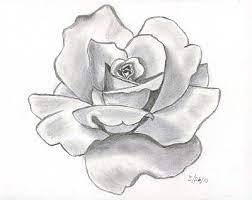 This Rose Is Shaded Nicely How Many Values Do You See In Each Petal Roses Drawing Flower Sketches Flower Drawing