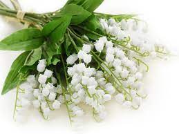 Check spelling or type a new query. 12 Stems Of Artificial Lily Of The Valley Flower Bouquet Fiveseasonstuff