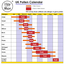 Practical Tips For Hay Fever Dust And Pet Allergy Sufferers Haymax