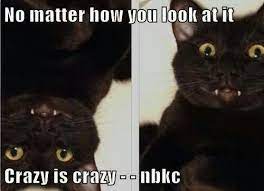 Just A Little Cra Cra Cat Memes Cats Animals