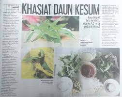Kesum dari segi saintifiknya dikenali dengan nama polygonum minus huds dan berasal dari keluarga polygonaceae. Universiti Kebangsaan Malaysia Ukm 02 September 2020 Khasiat Daun Kesum Harian Metro Facebook