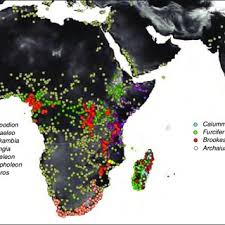 Pdf Evolution And Biogeography Of Chameleons