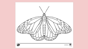 More than 10000+ butterfly, butterfly coloring, butterfly colouring, free, mon, monarch, outline, silhouette, stencil animal you can download for free free printable butterfly coloring pages for kids. Free Monarch Butterfly Colouring Colouring Sheets