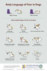 dog bite prevention week poster on the body language of