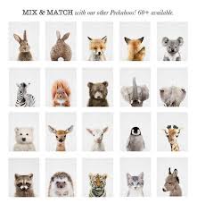 Nursery Wall Art Decor Bunny Rabbit Nursery Animal Prints Printable Digital Download Set Of 2 Instant Downloadable Woodland Poster Art Nursery Animal Prints Baby Animal Prints Baby Animal Art