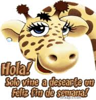 Check spelling or type a new query. Fin Semana Gifs Tenor